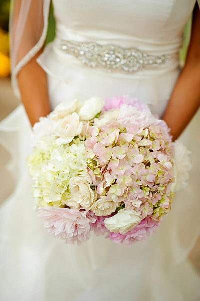 Cẩm tú cầu có nhiều màu, nhưng phổ biến nhất là trắng và hồng. Cẩm tú cầu có nhiều màu, nhưng phổ biến nhất là trắng và hồng.